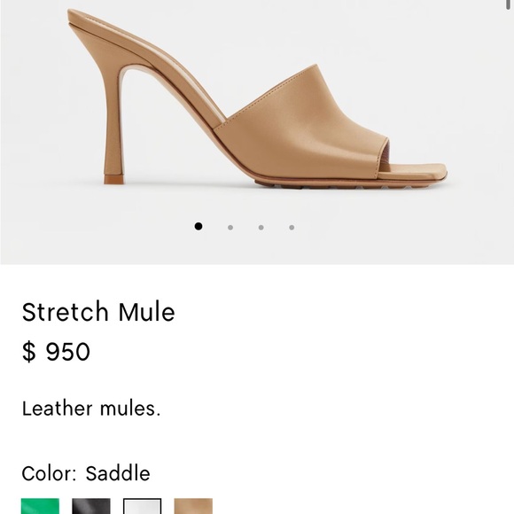 Bottega Veneta Bottega Veneta Stretch Leather Mules Saddle - Picture 9 of 9